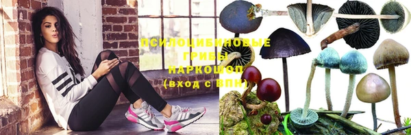 дмт Балахна
